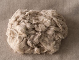 Sheep 2
