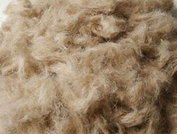 Sheep 2